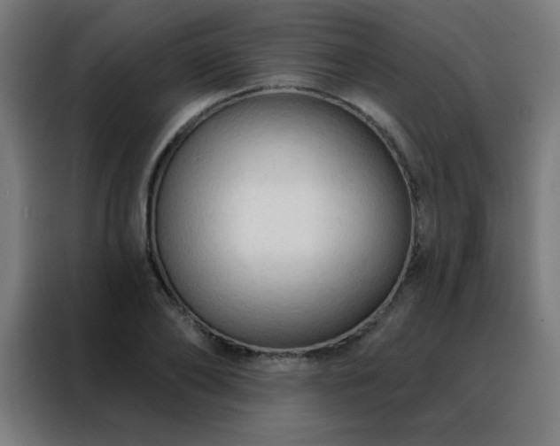 X0000088220886200705221801