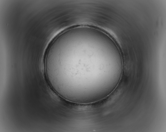 X0000088220887200705221801