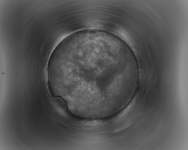 X0000088220891200705221801