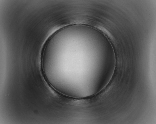 X0000088220894200705221801