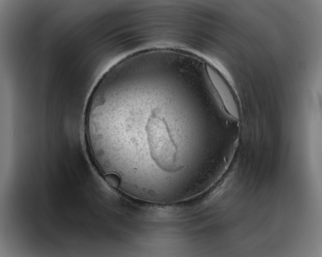 X0000088220895200705221801