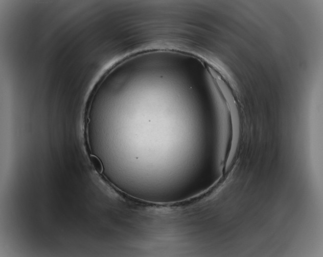 X0000088220896200705221801