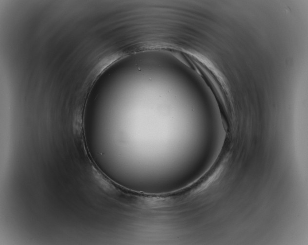 X0000088220897200705221801