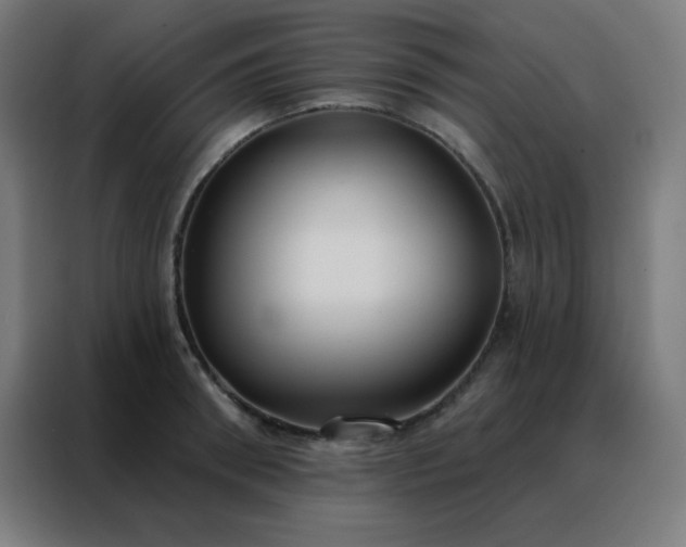 X0000088220898200705221801