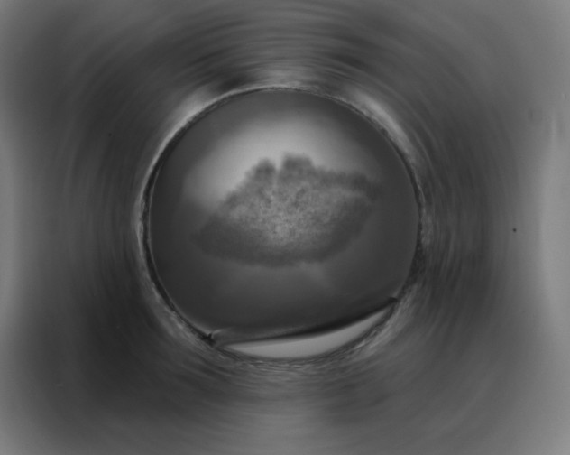 X0000088220899200705221801