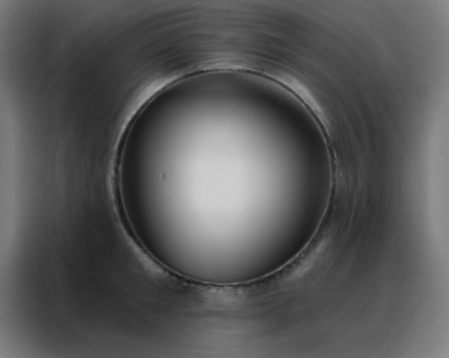 X0000088220901200705221801