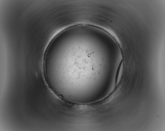 X0000088220903200705221801