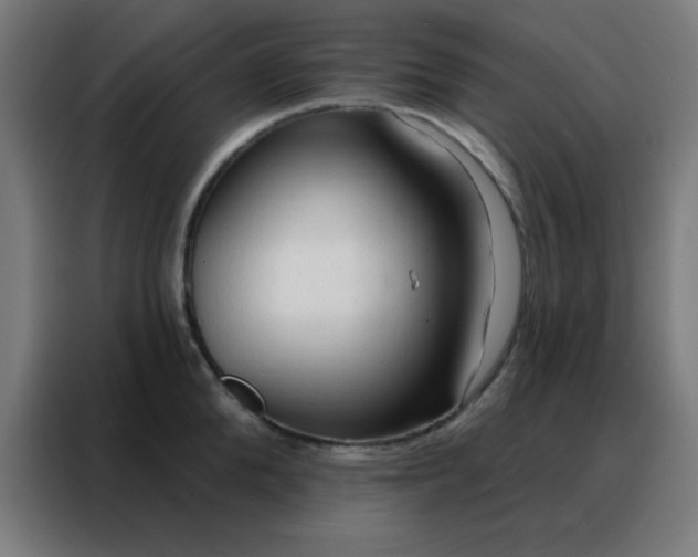 X0000088220904200705221801