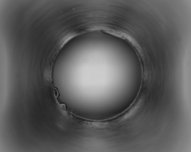 X0000088220905200705221801