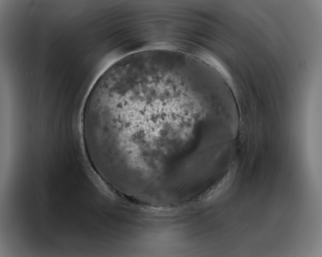 X0000088220907200705221801