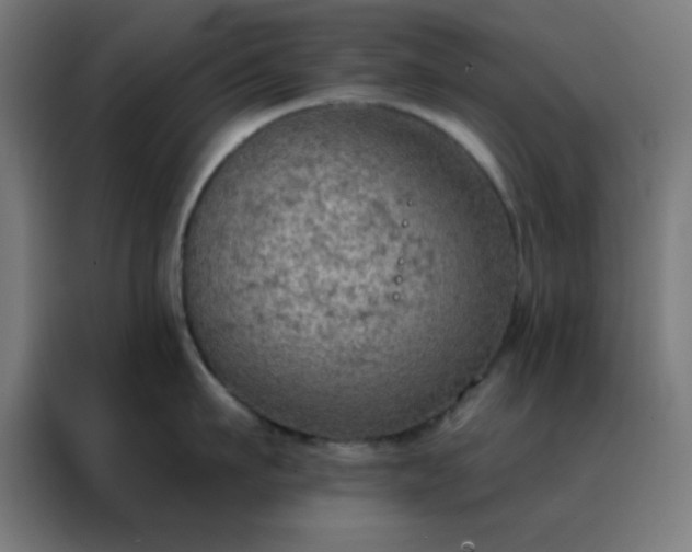 X0000088220911200705221801