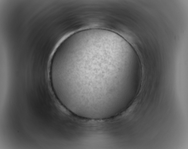 X0000088220912200705221801