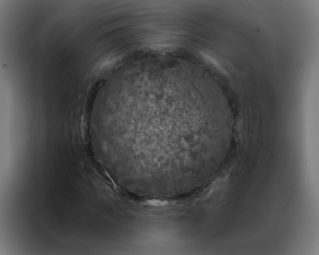 X0000088220917200705221800