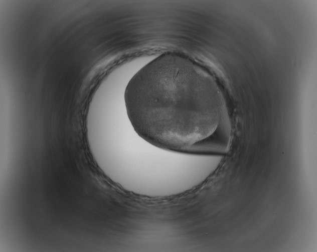 X0000088220920200705221800