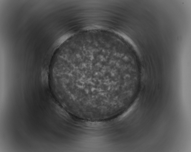 X0000088220921200705221800