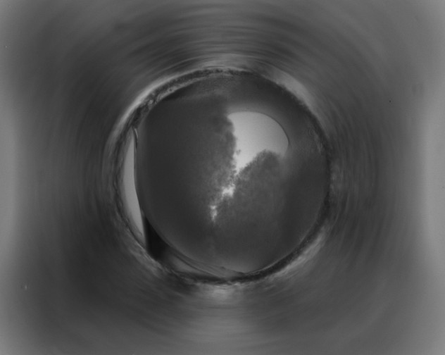 X0000088220923200705221800