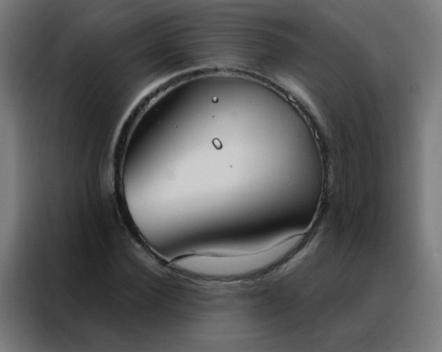 X0000088220924200705221800