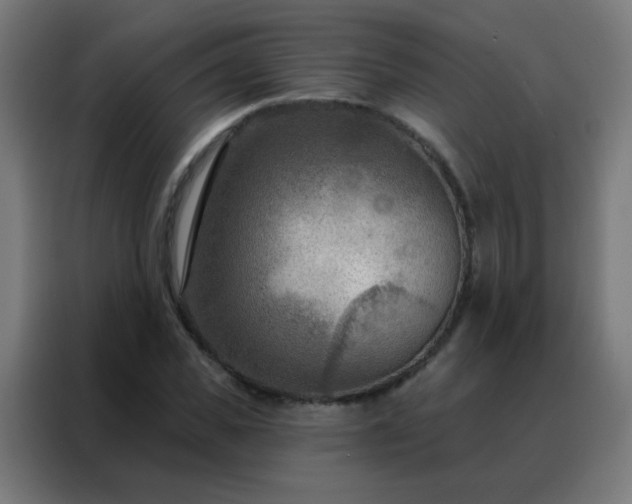 X0000088220925200705221800