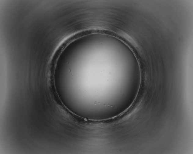 X0000088220926200705221800