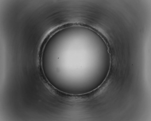 X0000088220927200705221800