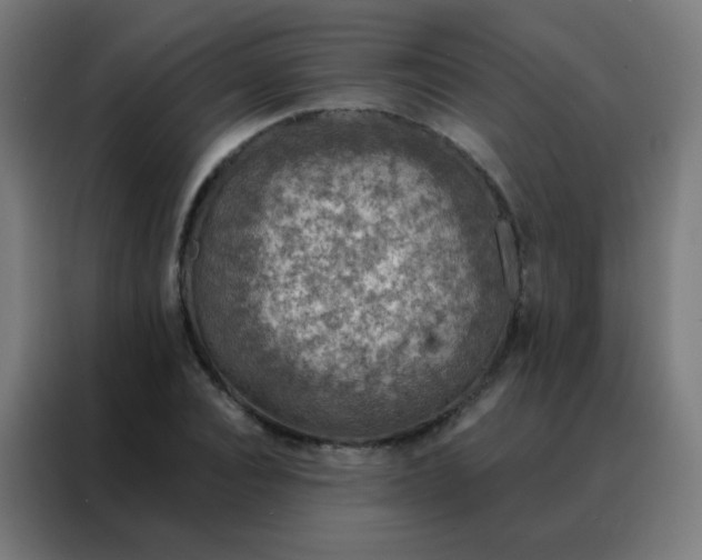 X0000088220928200705221800