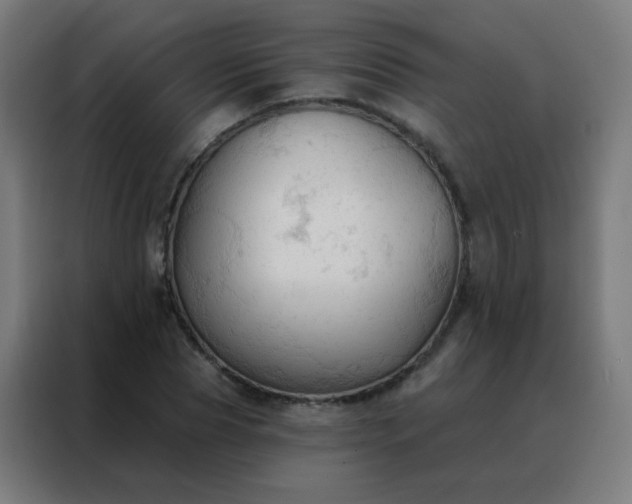 X0000088220929200705221800