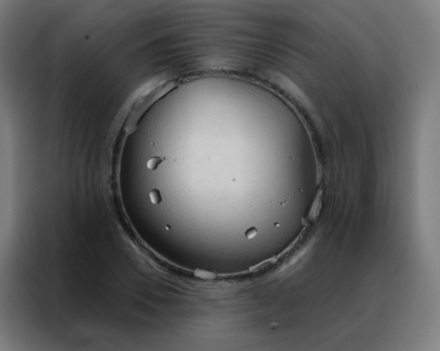 X0000088220930200705221800