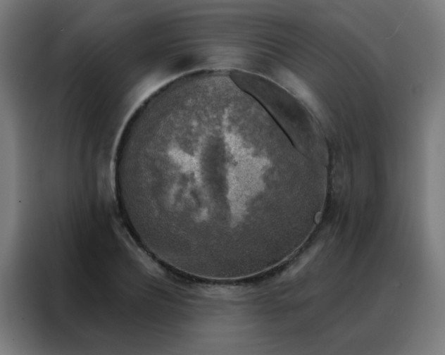 X0000088220932200705221800