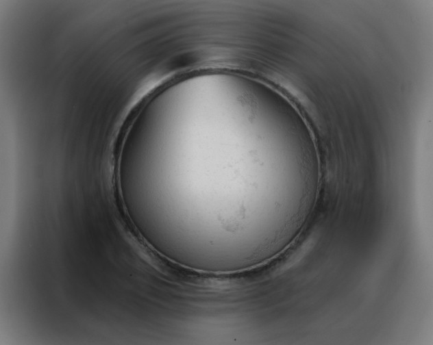 X0000088220933200705221801