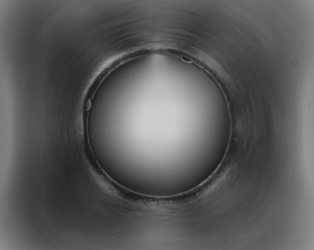 X0000088220934200705221801