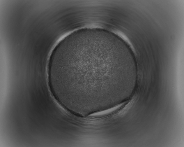 X0000088220935200705221801