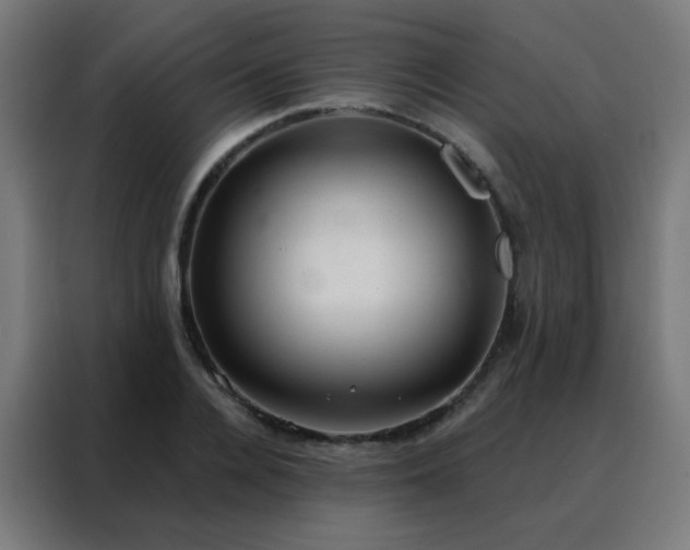 X0000088220936200705221801