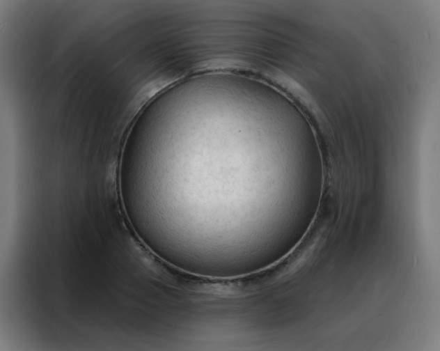 X0000088220937200705221801