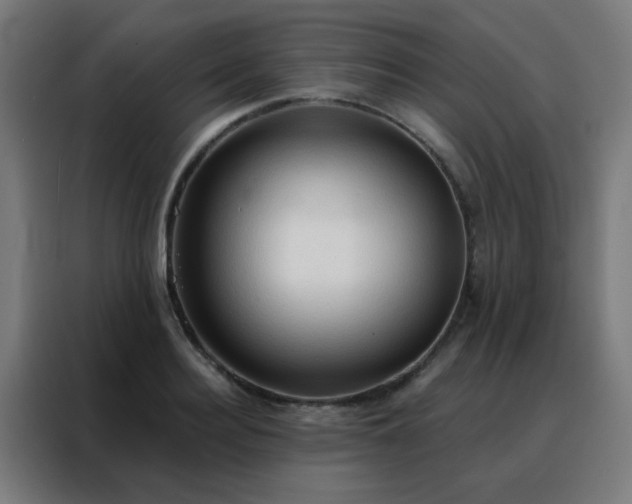 X0000088220940200705221801