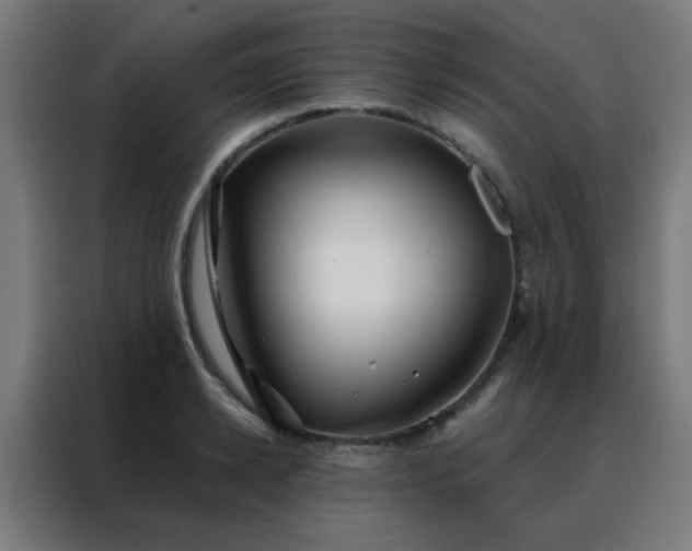 X0000088220942200705221801