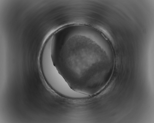 X0000088220944200705221801