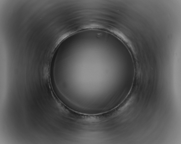 X0000088220945200705221801