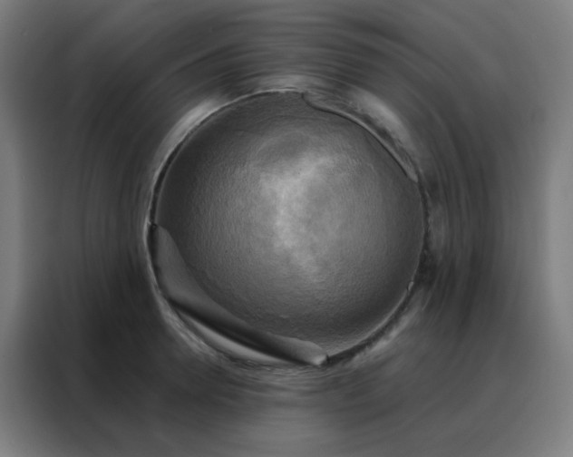 X0000088220946200705221801