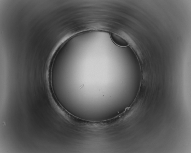 X0000088220947200705221801