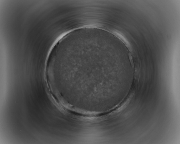 X0000088220948200705221801