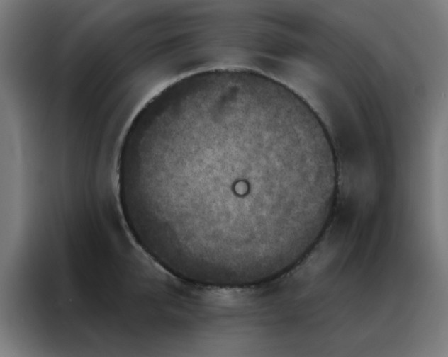 X0000088220950200705221801