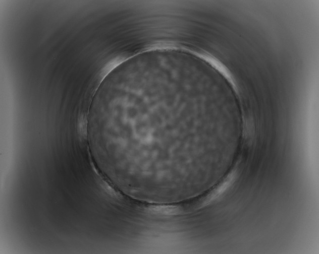 X0000088220953200705221801