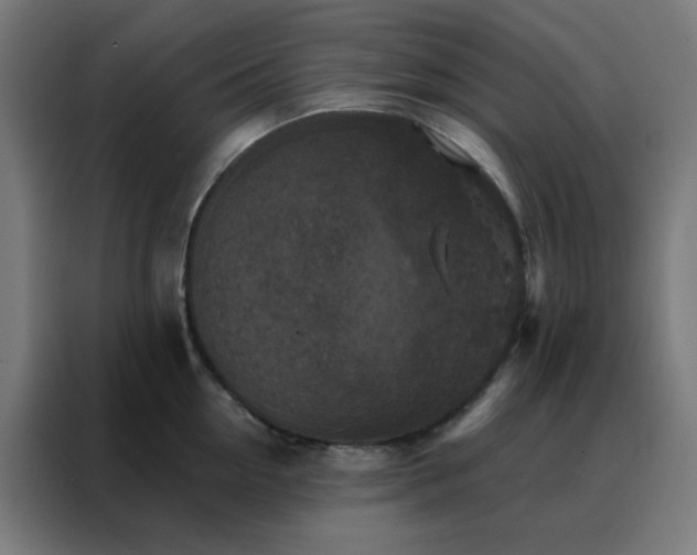 X0000088220954200705221801