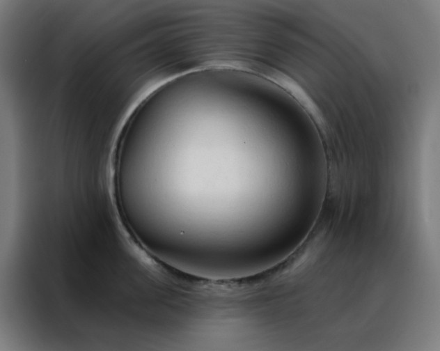 X0000088220955200705221801