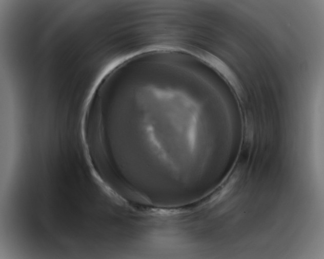 X0000088220958200705221801