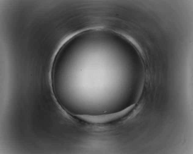 X0000088220959200705221801