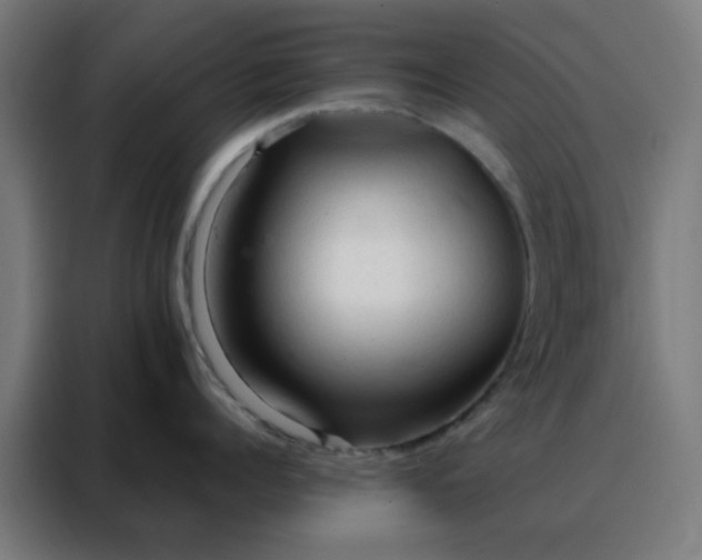 X0000088220960200705221801