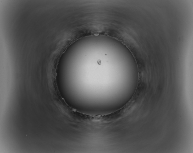 X0000088220961200705221800