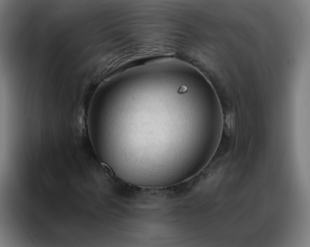 X0000088220963200705221800