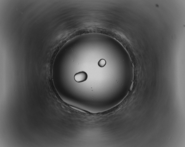 X0000088220965200705221800